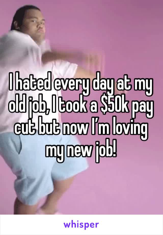 I hated every day at my old job, I took a $50k pay cut but now I’m loving my new job!