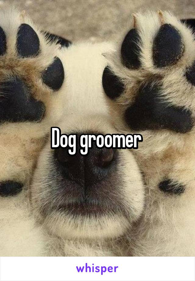 Dog groomer 