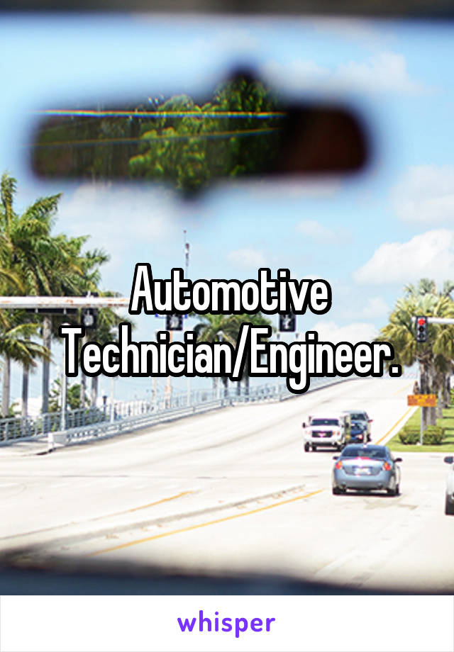 Automotive Technician/Engineer.