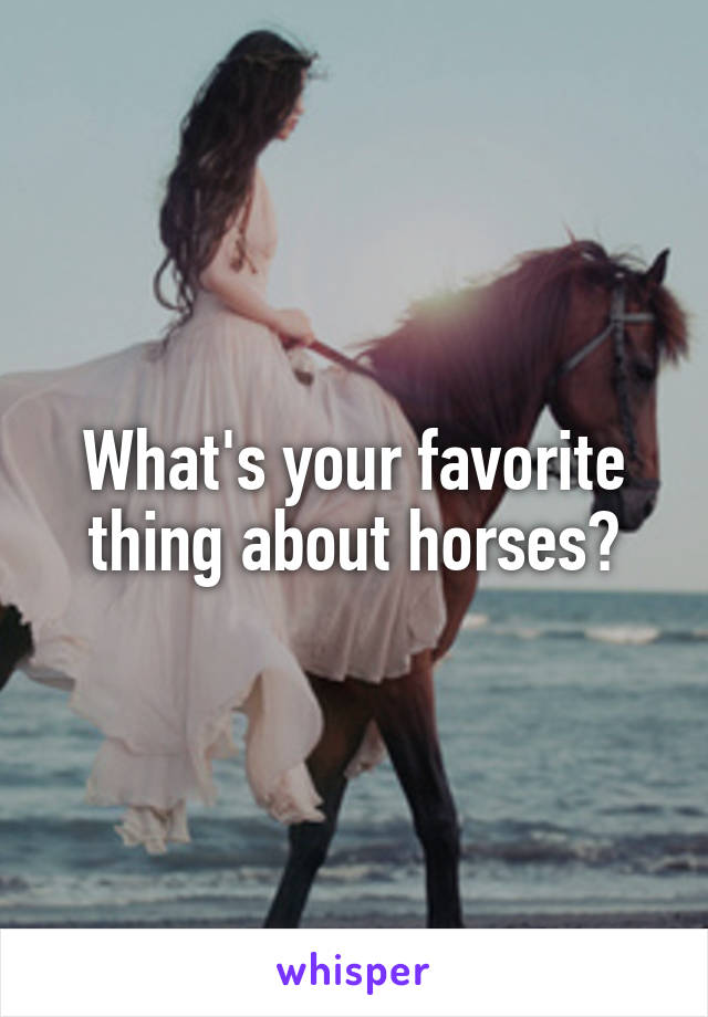 What's your favorite thing about horses?