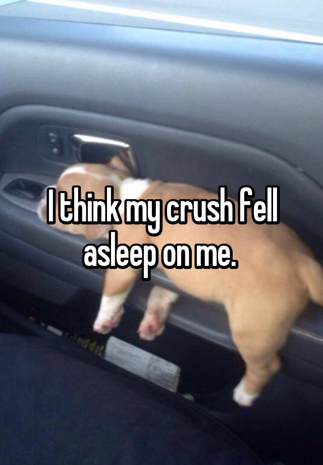 I think my crush fell asleep on me. 