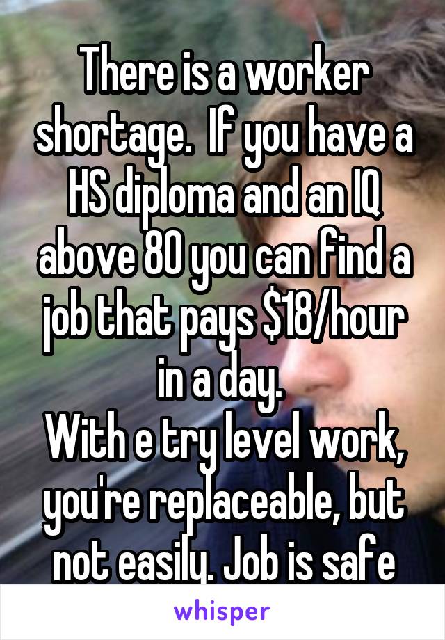 There is a worker shortage.  If you have a HS diploma and an IQ above 80 you can find a job that pays $18/hour in a day. 
With e try level work, you're replaceable, but not easily. Job is safe