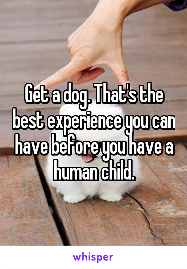 Get a dog. That's the best experience you can have before you have a human child.