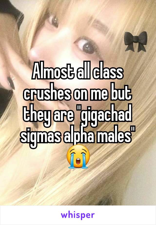 Almost all class crushes on me but they are "gigachad sigmas alpha males" 😭