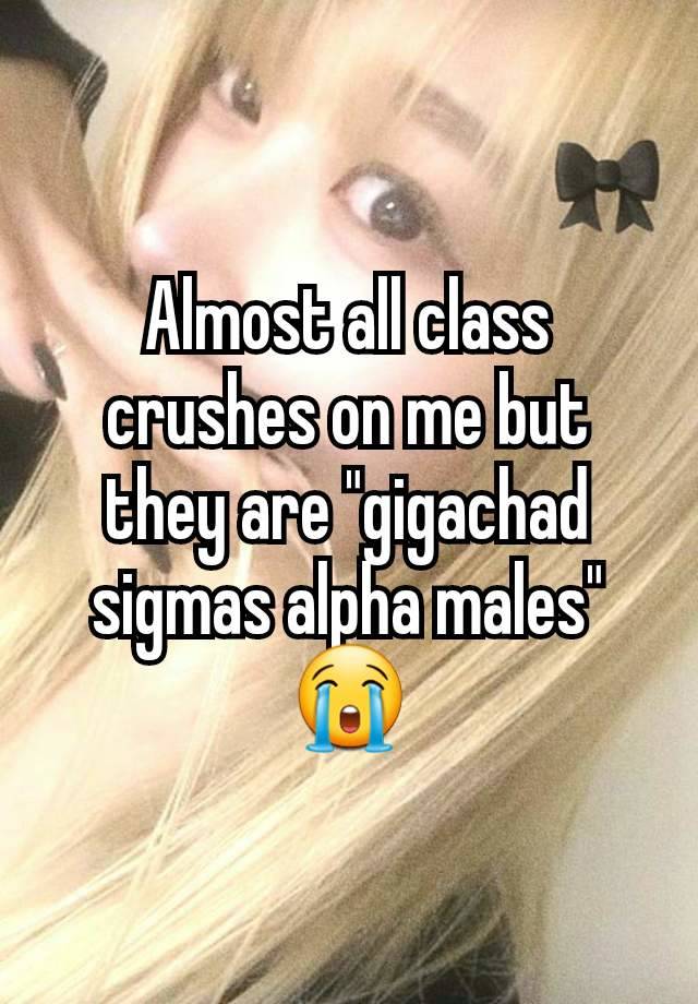 Almost all class crushes on me but they are "gigachad sigmas alpha males" 😭