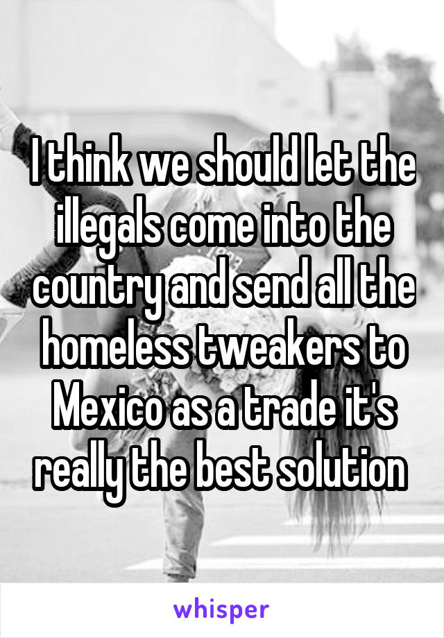 I think we should let the illegals come into the country and send all the homeless tweakers to Mexico as a trade it's really the best solution 