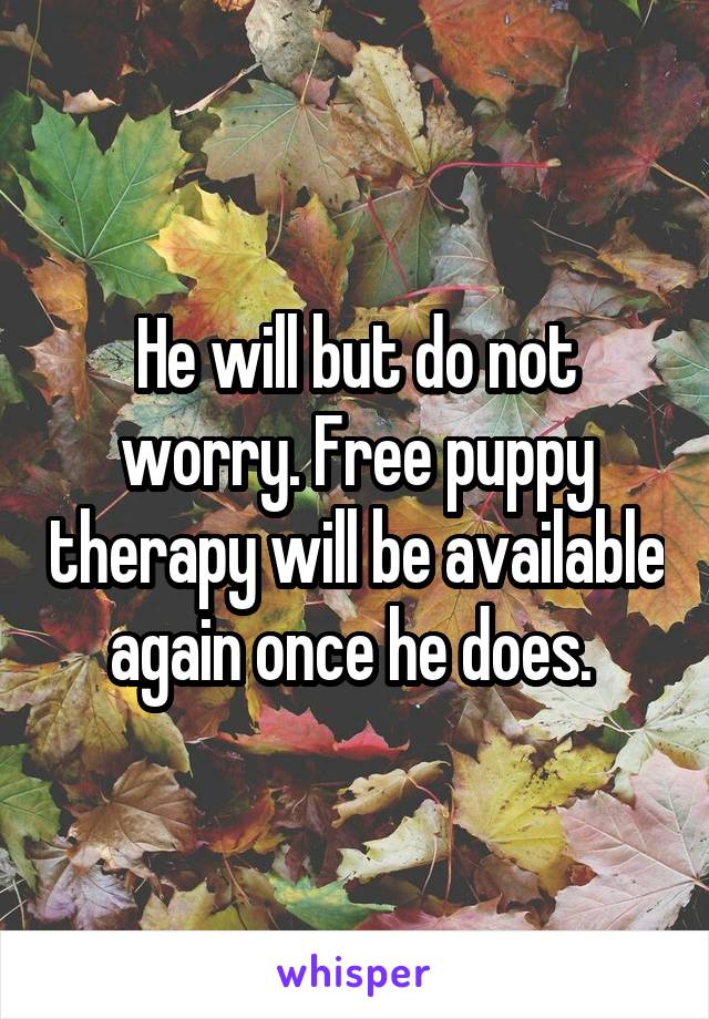 He will but do not worry. Free puppy therapy will be available again once he does. 