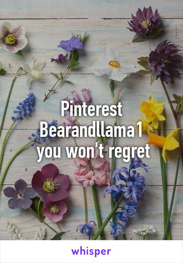 Pinterest Bearandllama1
 you won't regret