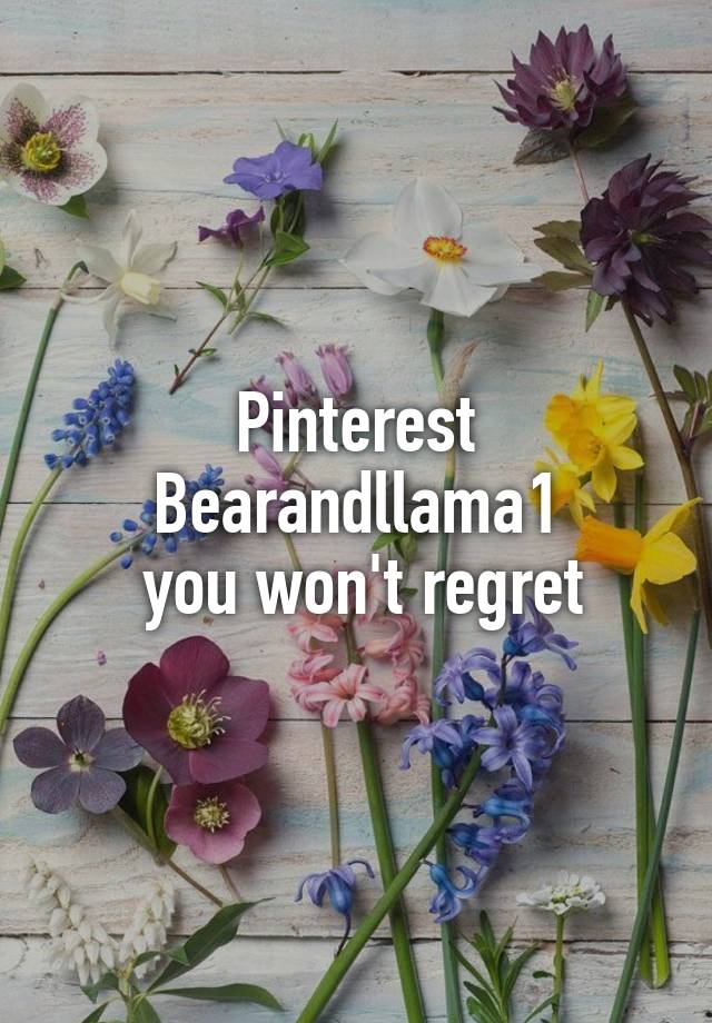 Pinterest Bearandllama1
 you won't regret