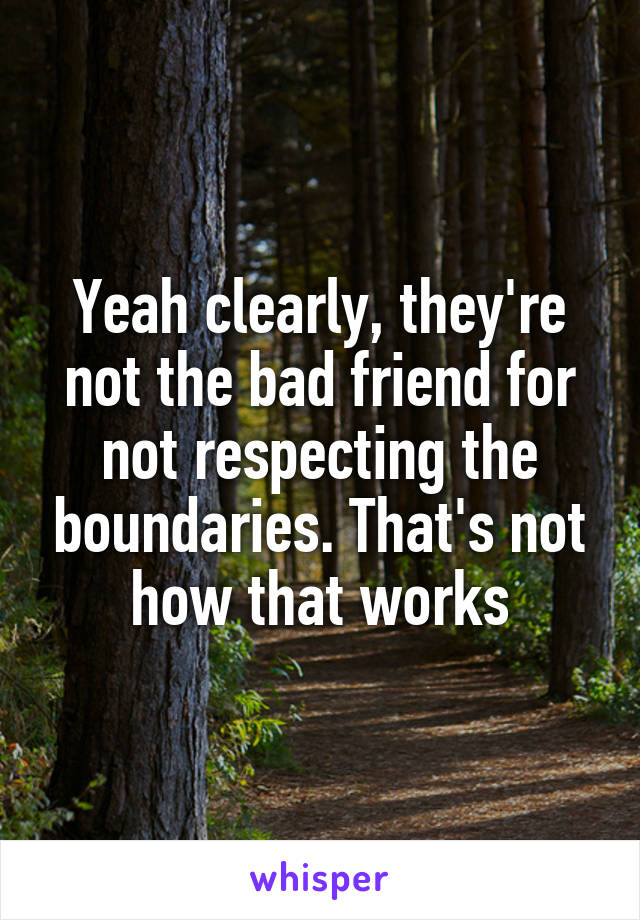 Yeah clearly, they're not the bad friend for not respecting the boundaries. That's not how that works