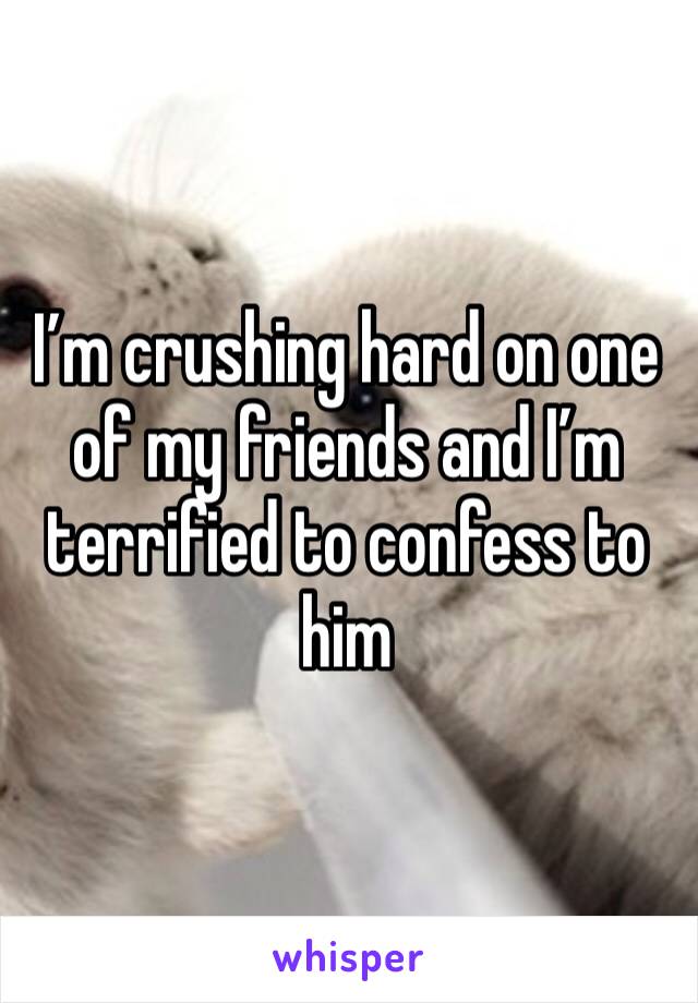 I’m crushing hard on one of my friends and I’m terrified to confess to him 