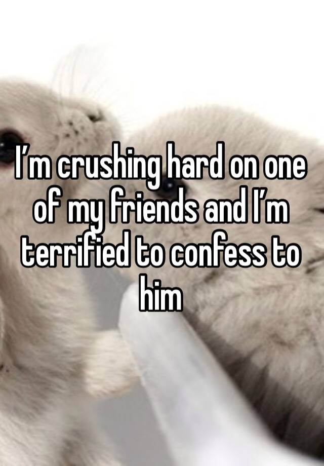 I’m crushing hard on one of my friends and I’m terrified to confess to him 