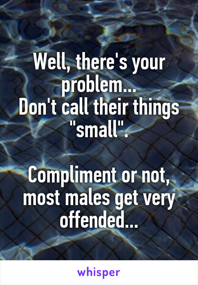 Well, there's your problem...
Don't call their things "small".

Compliment or not, most males get very offended...