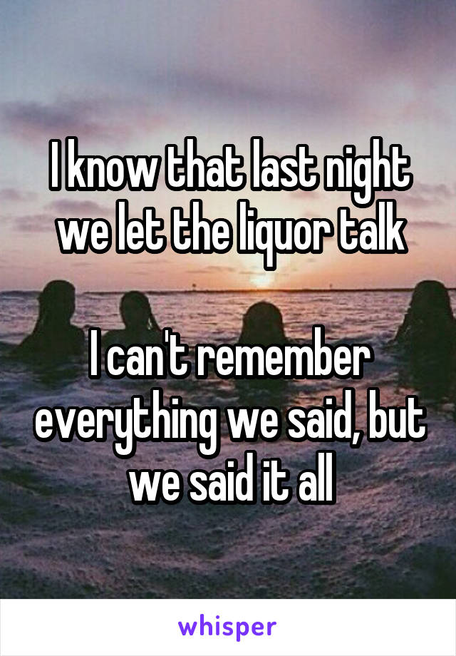 I know that last night we let the liquor talk

I can't remember everything we said, but we said it all