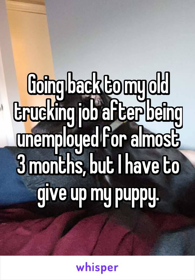 Going back to my old trucking job after being unemployed for almost 3 months, but I have to give up my puppy.