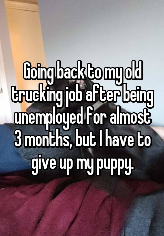 Going back to my old trucking job after being unemployed for almost 3 months, but I have to give up my puppy.