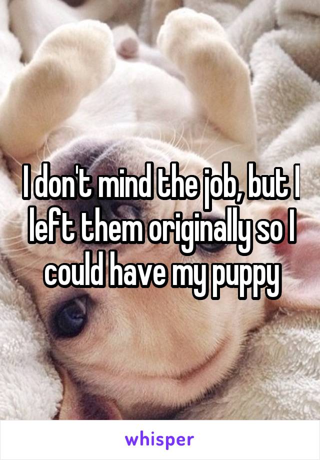 I don't mind the job, but I left them originally so I could have my puppy