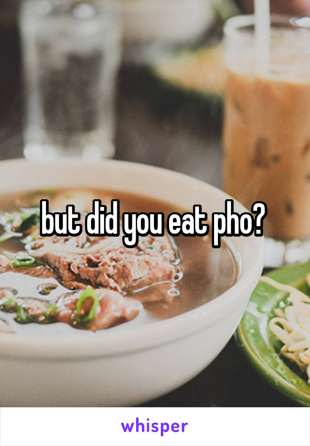 but did you eat pho? 