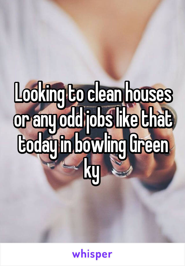 Looking to clean houses or any odd jobs like that today in bowling Green ky 