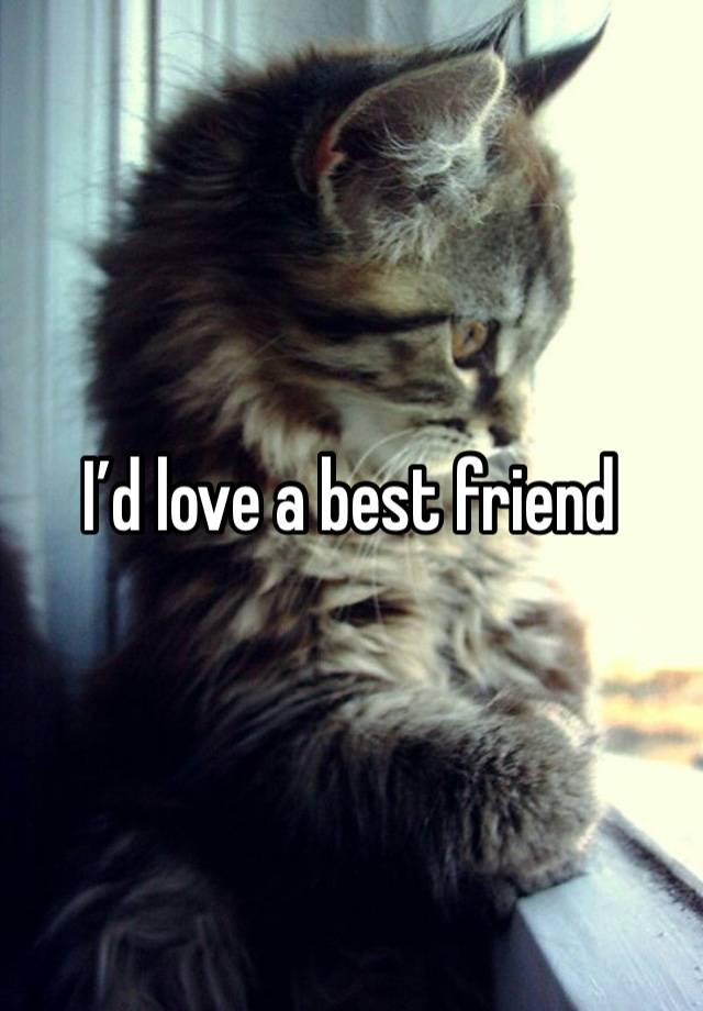 I’d love a best friend 