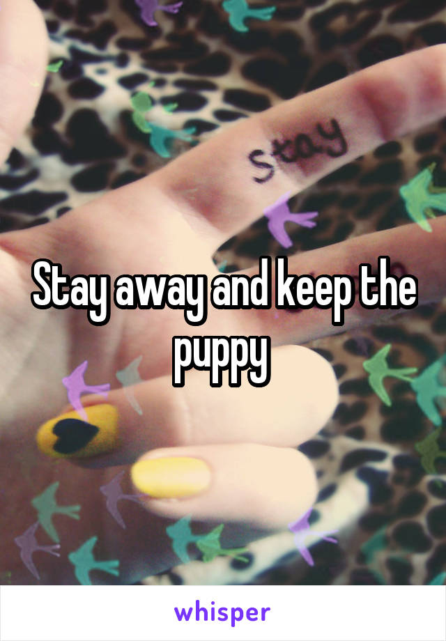 Stay away and keep the puppy 