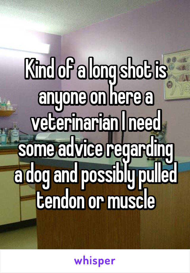 Kind of a long shot is anyone on here a veterinarian I need some advice regarding a dog and possibly pulled tendon or muscle