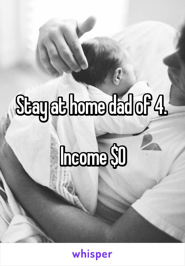 Stay at home dad of 4. 

Income $0