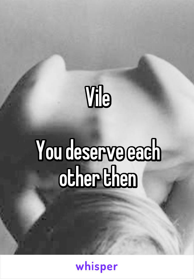 Vile

You deserve each other then