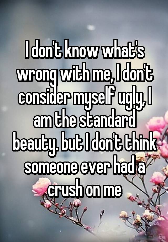 I don't know what's wrong with me, I don't consider myself ugly, I am the standard beauty. but I don't think someone ever had a crush on me