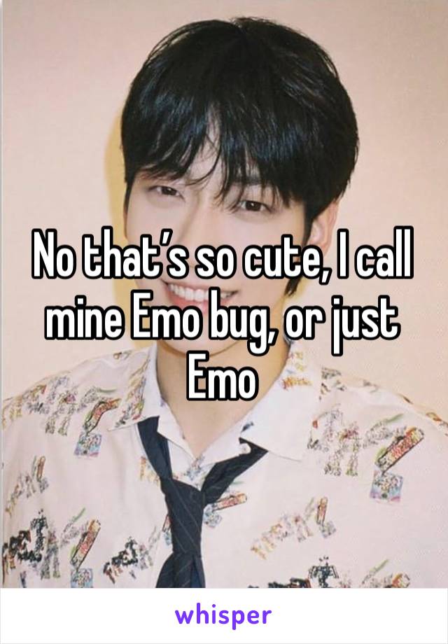 No that’s so cute, I call mine Emo bug, or just Emo