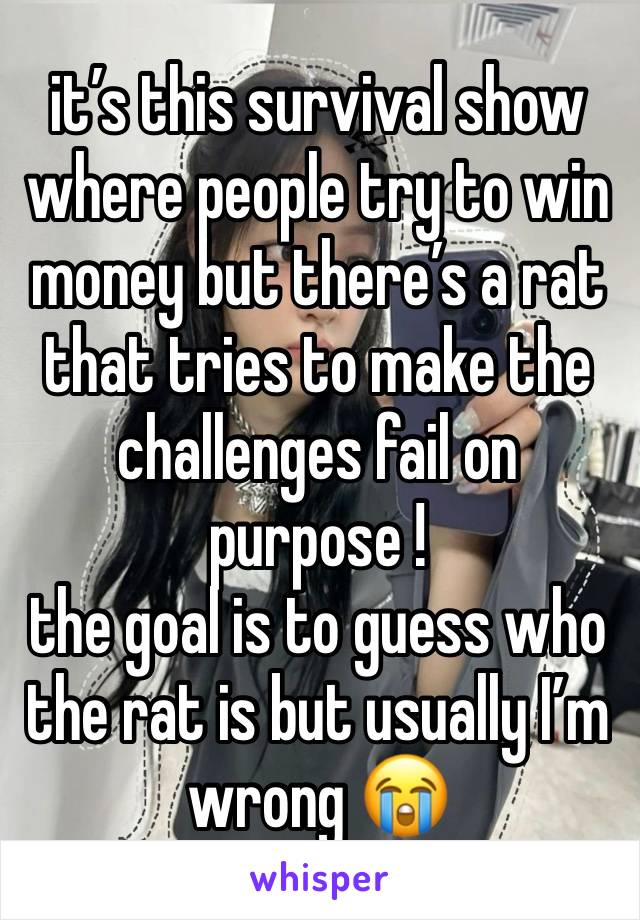 it’s this survival show where people try to win money but there’s a rat that tries to make the challenges fail on purpose !
the goal is to guess who the rat is but usually I’m wrong 😭