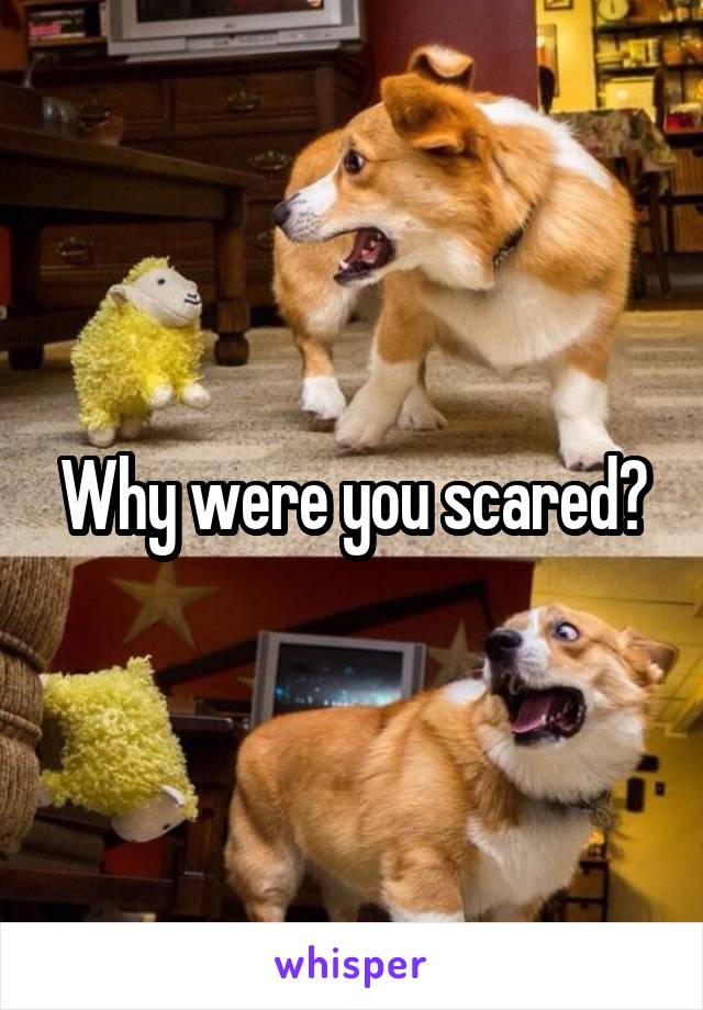 Why were you scared?