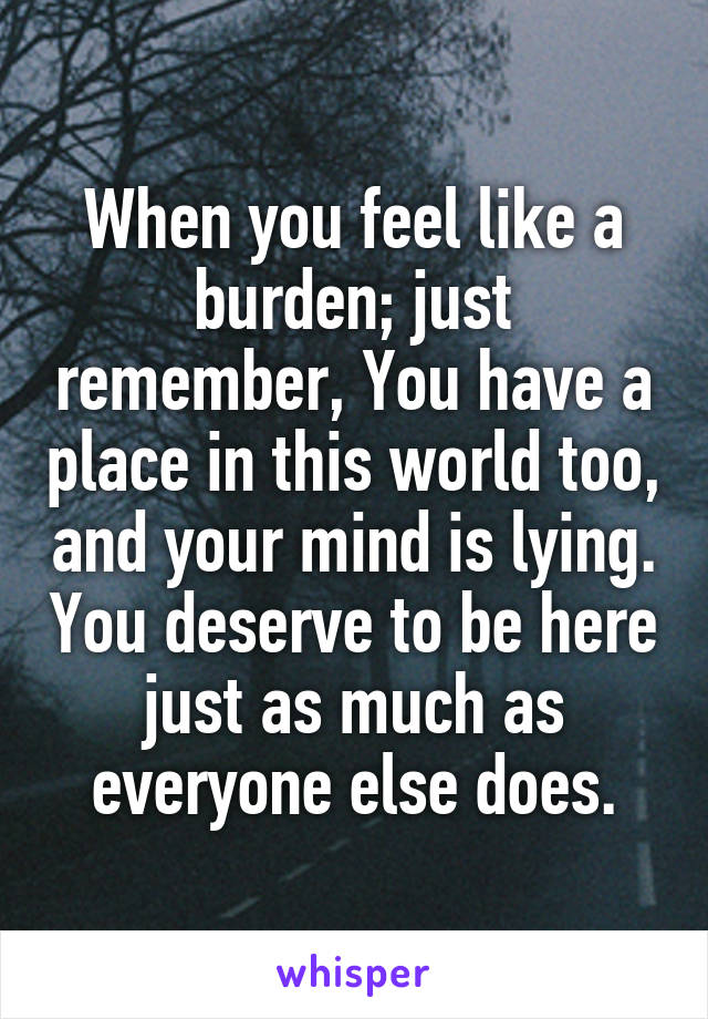 When you feel like a burden; just remember, You have a place in this world too, and your mind is lying. You deserve to be here just as much as everyone else does.