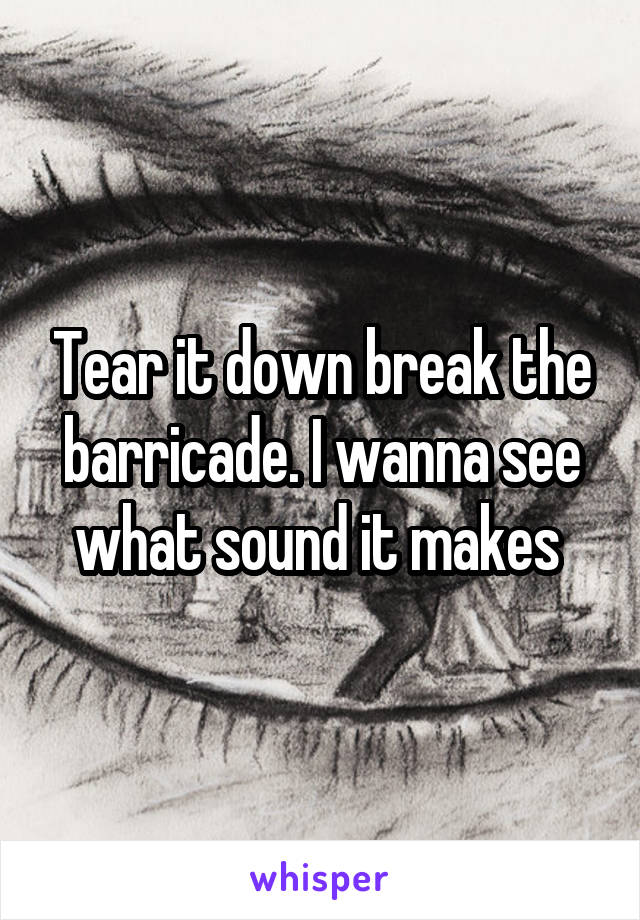 Tear it down break the barricade. I wanna see what sound it makes 