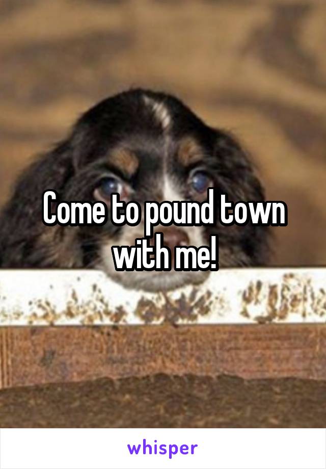 Come to pound town with me!