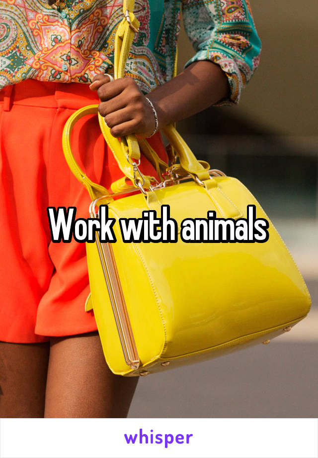 Work with animals 