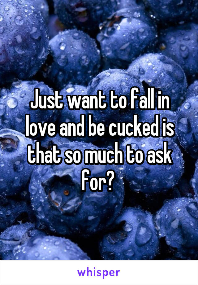 Just want to fall in love and be cucked is that so much to ask for? 