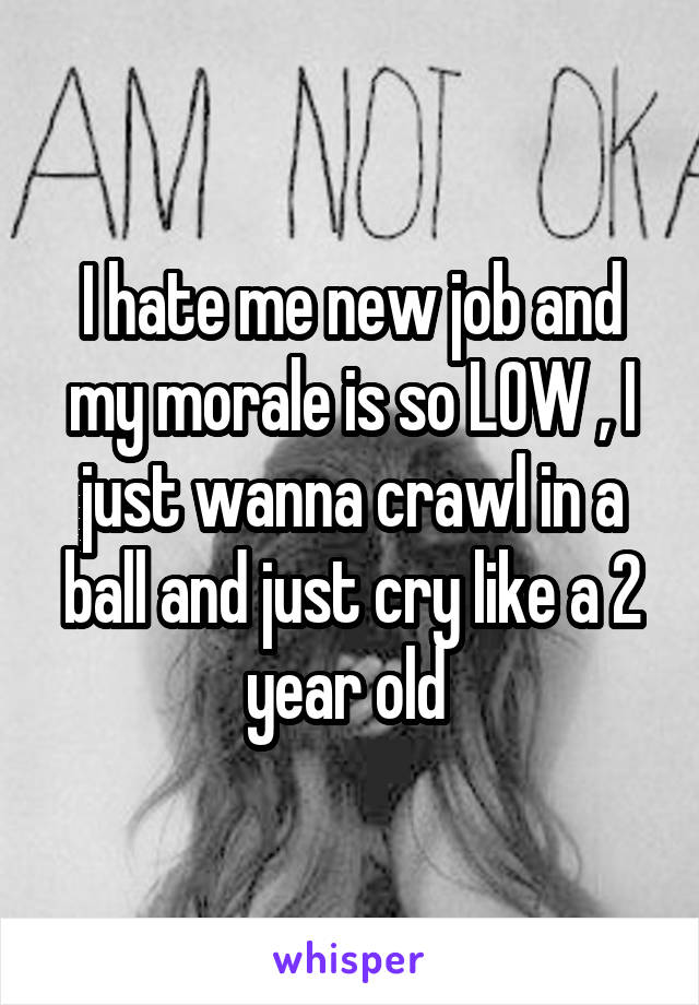 I hate me new job and my morale is so LOW , I just wanna crawl in a ball and just cry like a 2 year old 