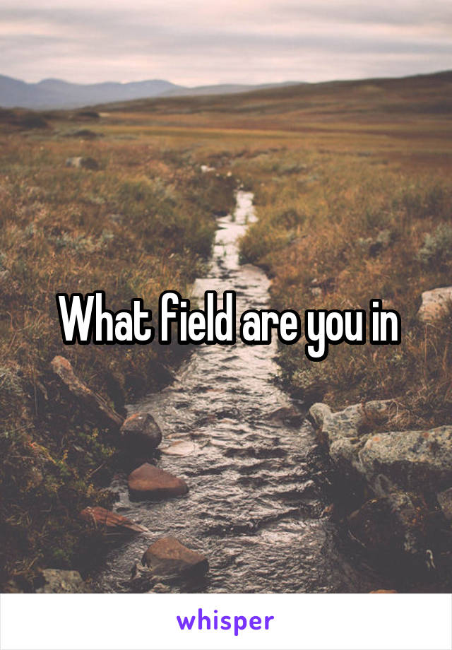 What field are you in