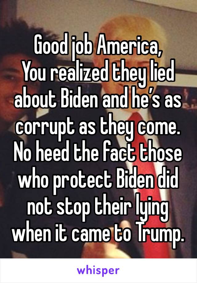 Good job America,
You realized they lied about Biden and he’s as corrupt as they come. No heed the fact those who protect Biden did not stop their lying when it came to Trump. 