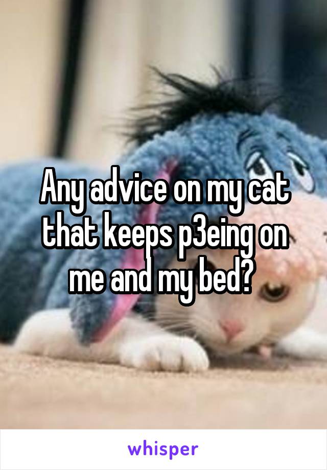 Any advice on my cat that keeps p3eing on me and my bed? 