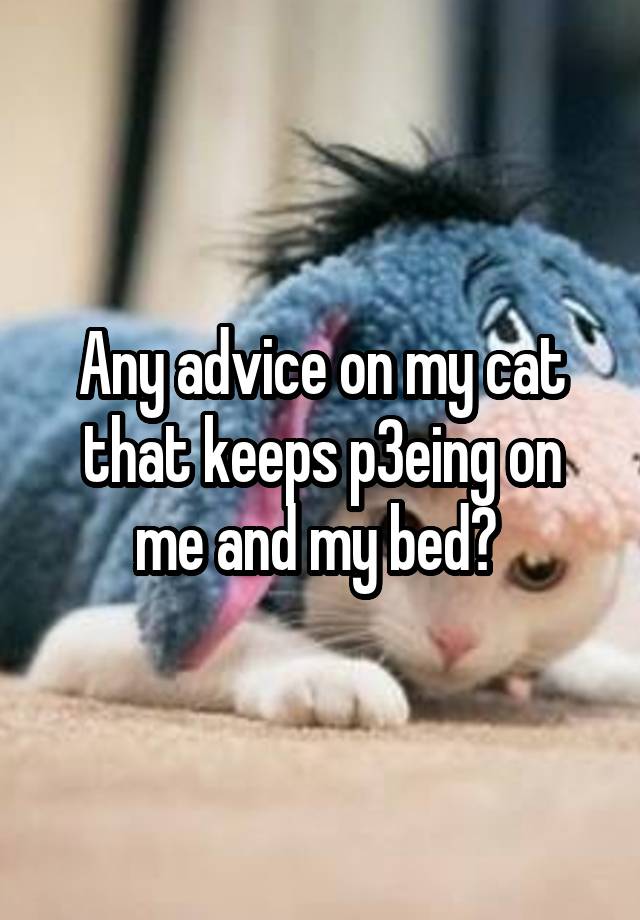 Any advice on my cat that keeps p3eing on me and my bed? 