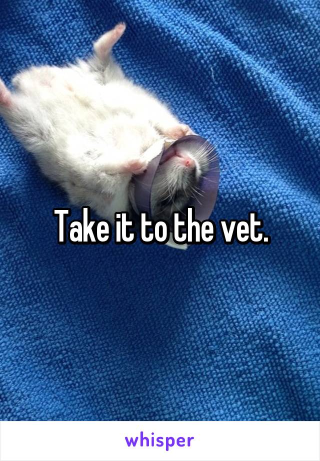 Take it to the vet.