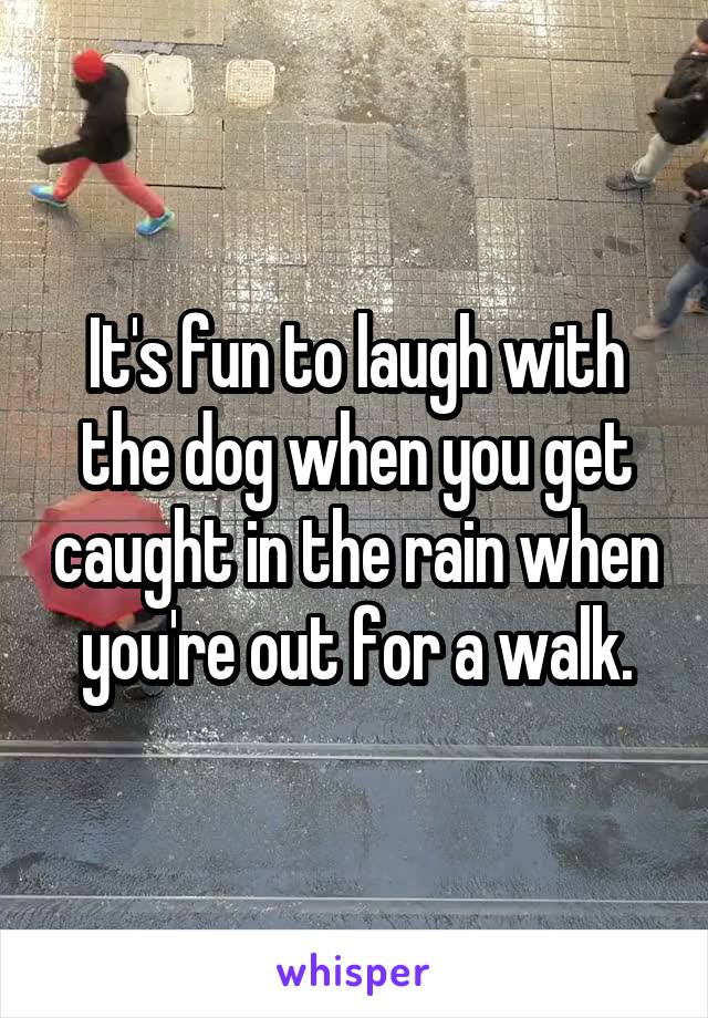 It's fun to laugh with the dog when you get caught in the rain when you're out for a walk.