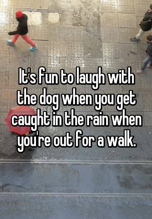 It's fun to laugh with the dog when you get caught in the rain when you're out for a walk.