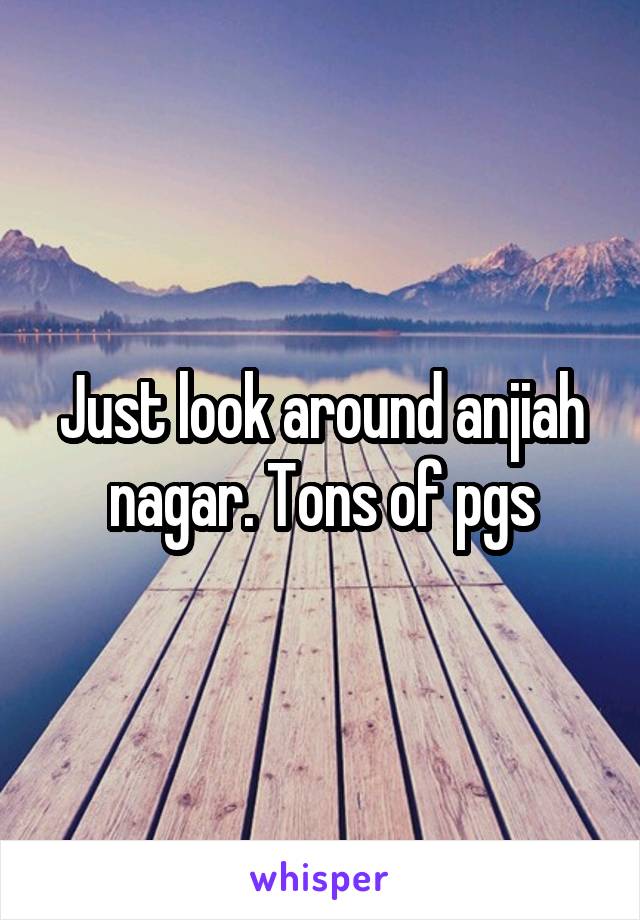 Just look around anjiah nagar. Tons of pgs