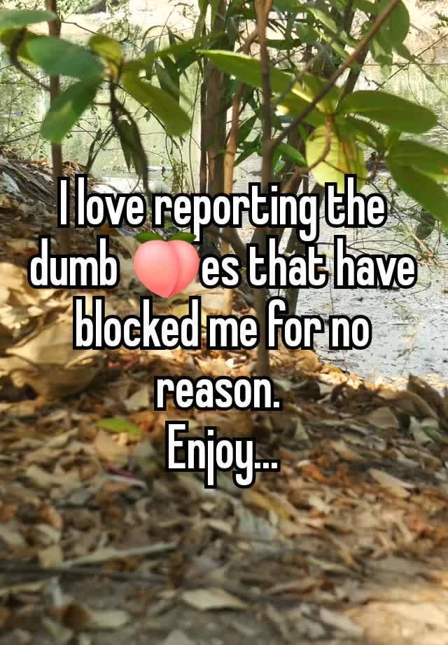 I love reporting the dumb 🍑es that have blocked me for no reason. 
Enjoy...