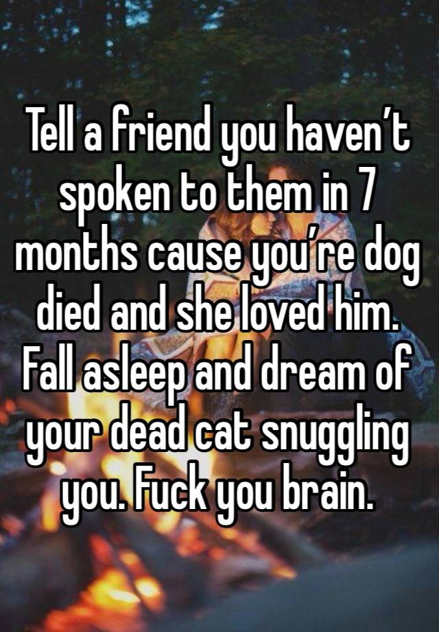 Tell a friend you haven’t spoken to them in 7 months cause you’re dog died and she loved him. Fall asleep and dream of your dead cat snuggling you. Fuck you brain. 