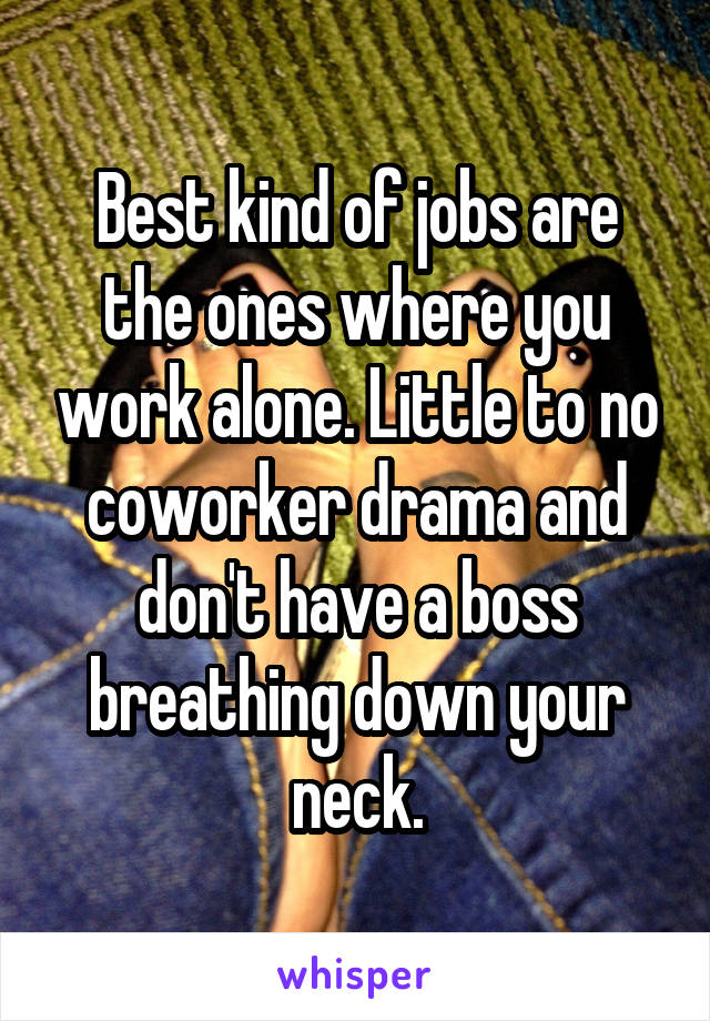 Best kind of jobs are the ones where you work alone. Little to no coworker drama and don't have a boss breathing down your neck.