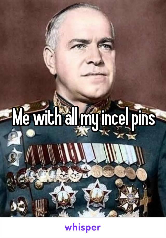 Me with all my incel pins